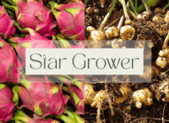 Stargrower