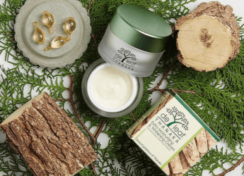 Orlins Venture Group